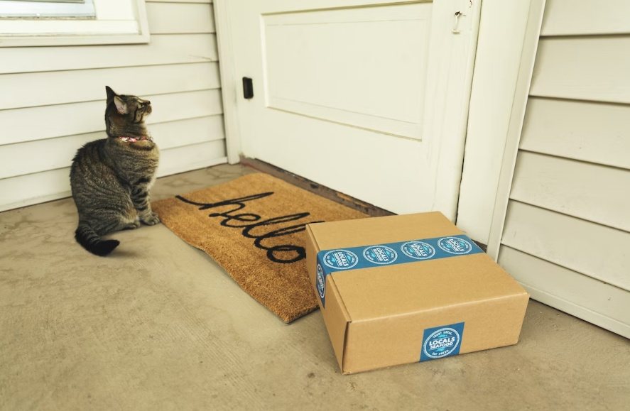 Delivery at the doorstep with a cat sitting next to it